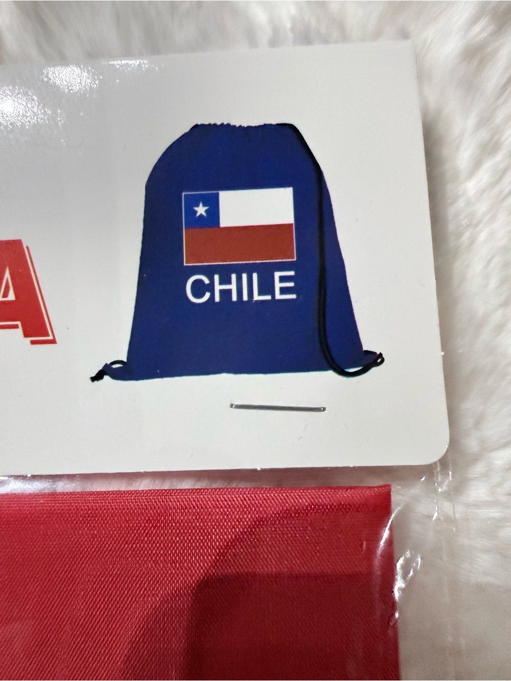 Blue Chile Drawstring Backpack